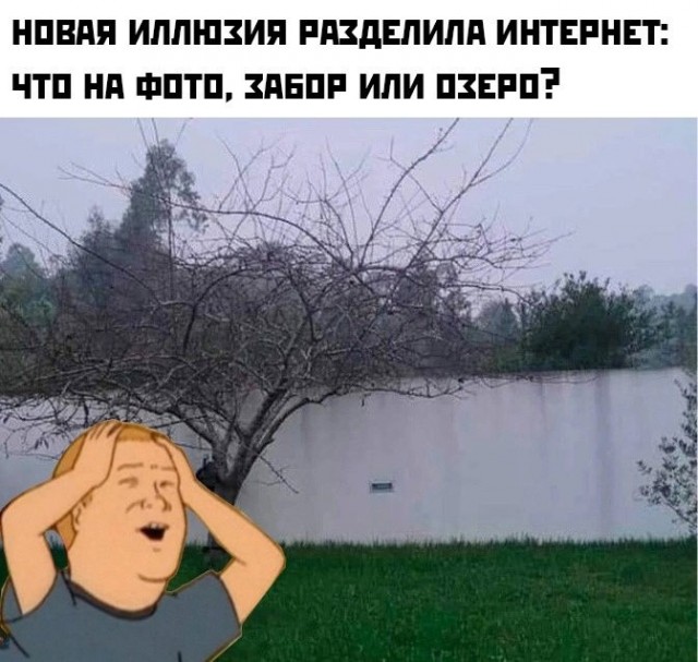 Картинки для деградации 225 (разной степени свежести)