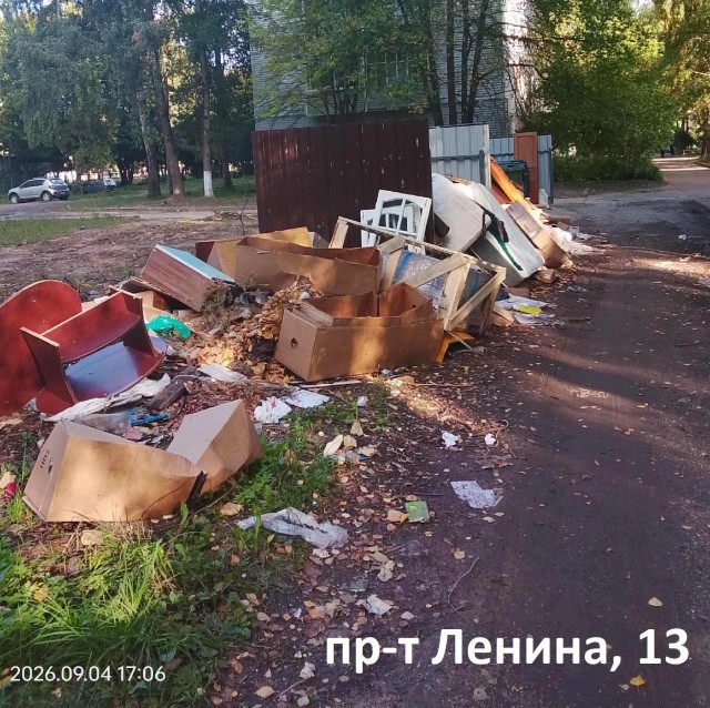 Предвыборные помойки