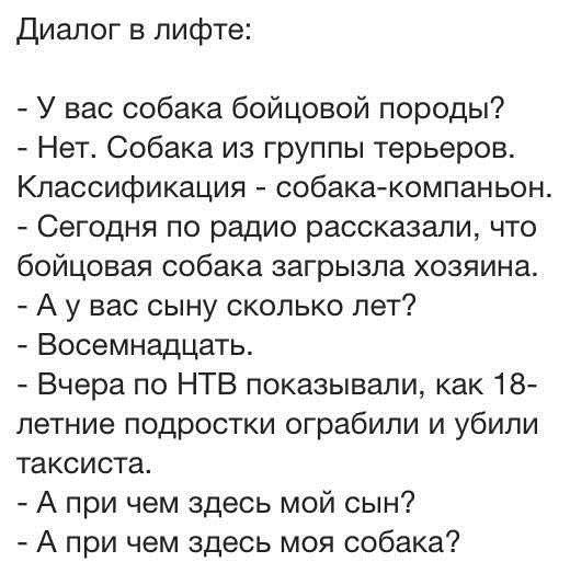 К разговору о собаках...