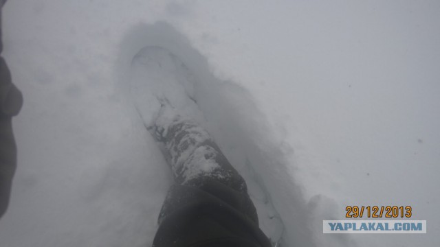 Пурговое