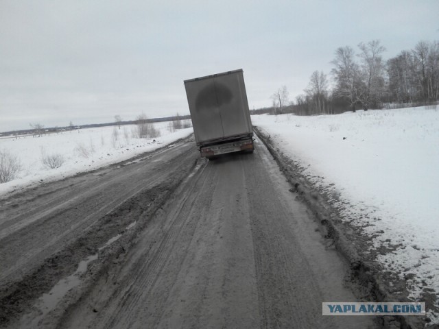 Озеленение Владивостока.