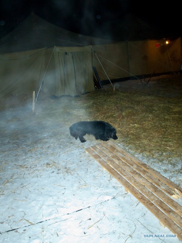 Крещение 2012