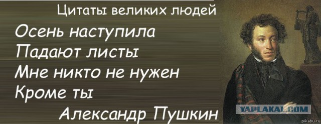 Веселые картинки