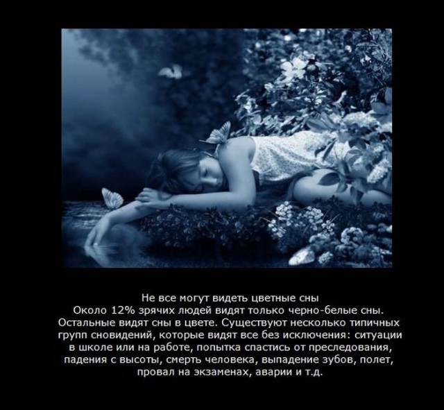 20 фактов обо всем