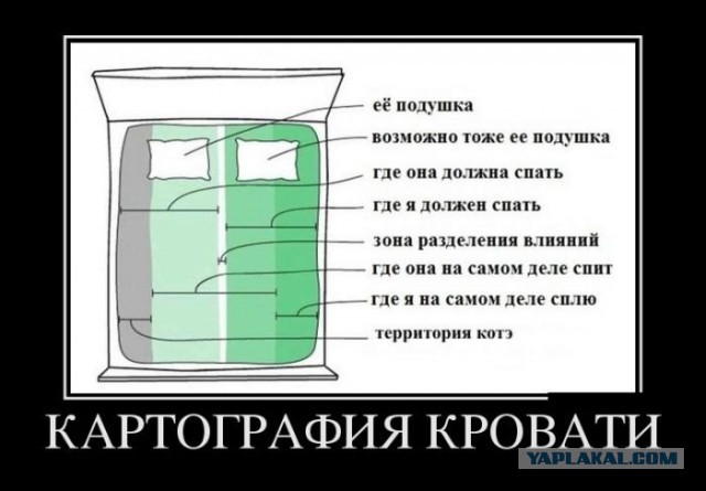 Смешные комментарии из соц сетей