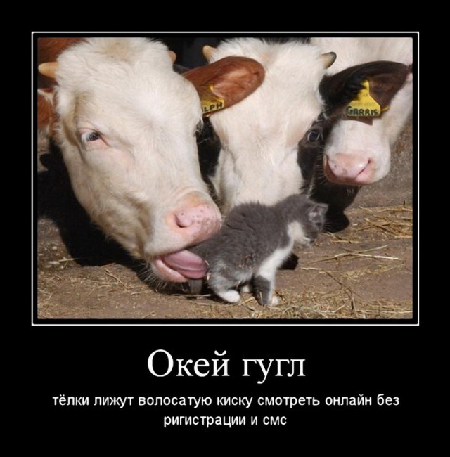 Пятничная подборка