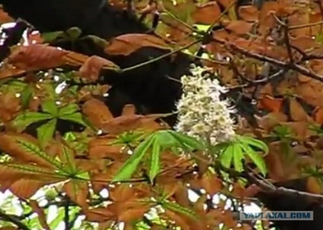 В Самаре сегодня много снега!