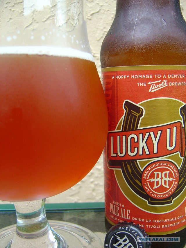 Пост обожания пива