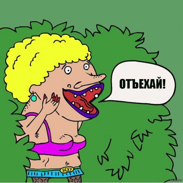 СтопХам-Впихнуть невпихуемое