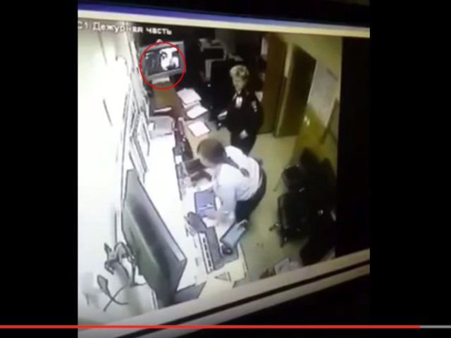 Ну ведь убежал