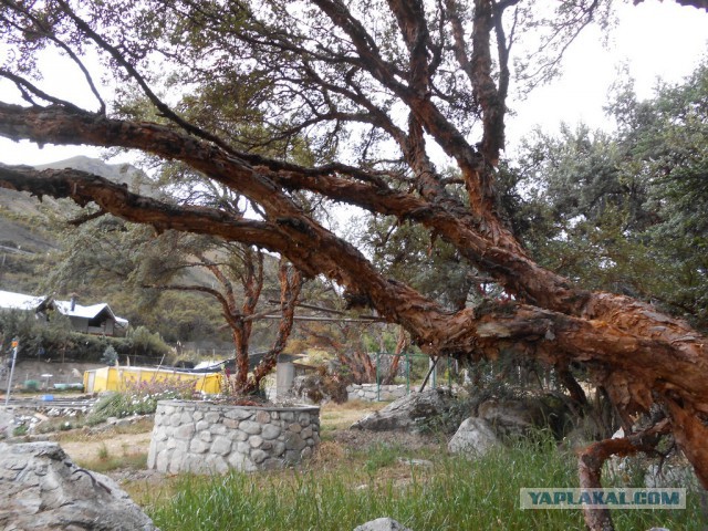 Рыбная ферма. Эквадор