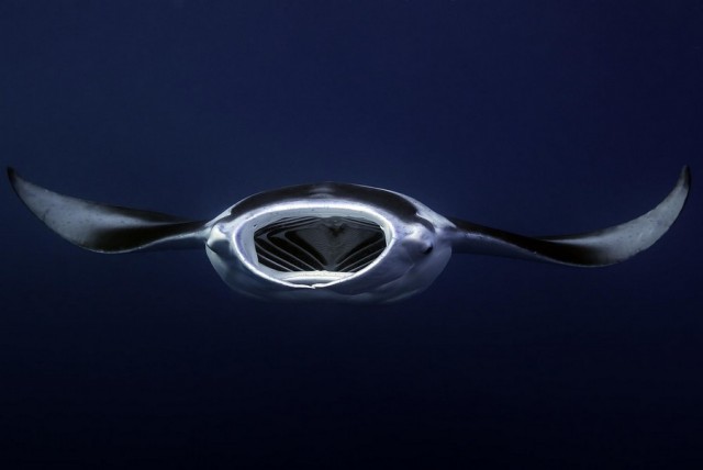 Подборка картинок