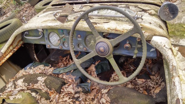 Неандерталь автомобильный