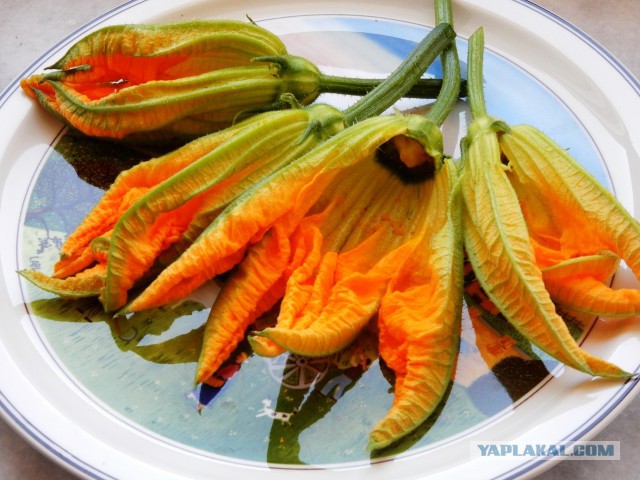 Готовят наши дети и мы готовим для детей.