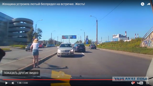 Эталонная курица на встречной полосе, совсем без мозгов!