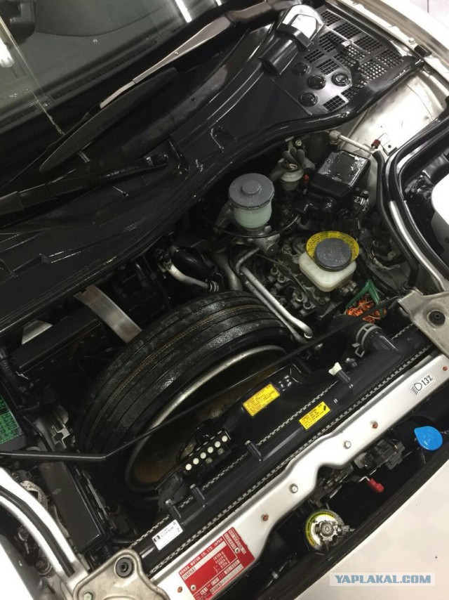 В питерском лесу нашли брошенную Honda NSX