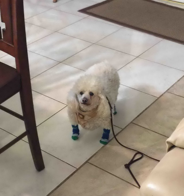 Подборка интересных и веселых картинок