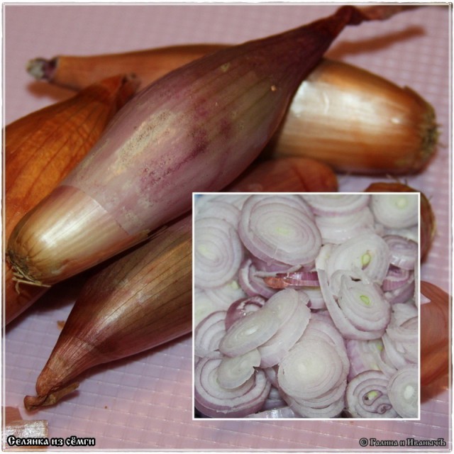 сЕлянка из сёмги