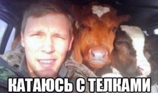 Нестандартный юмор
