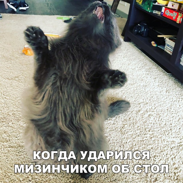 Нестандартный юмор