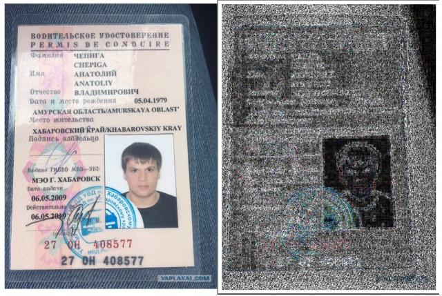 «Расследователи» дела Скрипаля подделали права «Чепиги – Боширова»