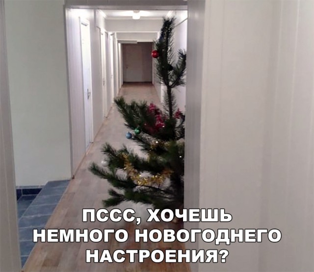 Нестандартный юмор