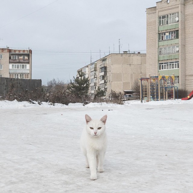 Жизнь в объективе фотографа Дмитрия Маркова