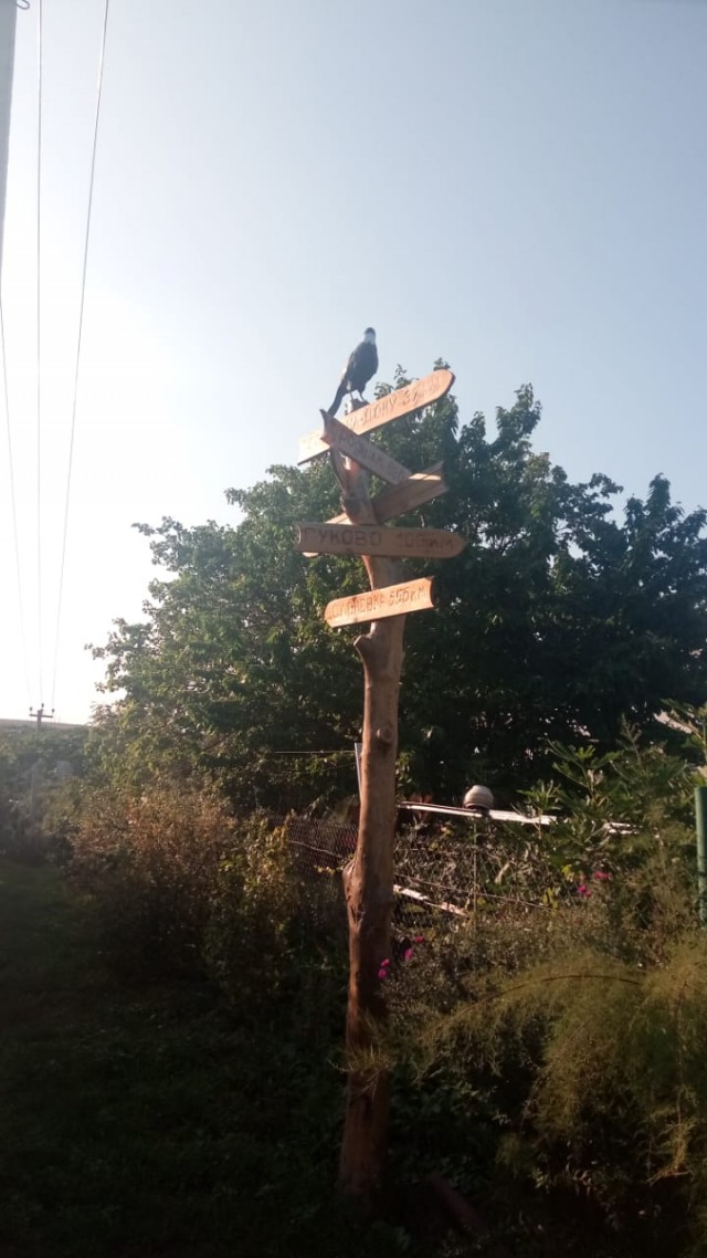 Мыть сапоги в индийском океане, или как мы в Морской Чулек гоняли