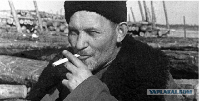 Партизанские реалии: насколько точными были полевые сводки?