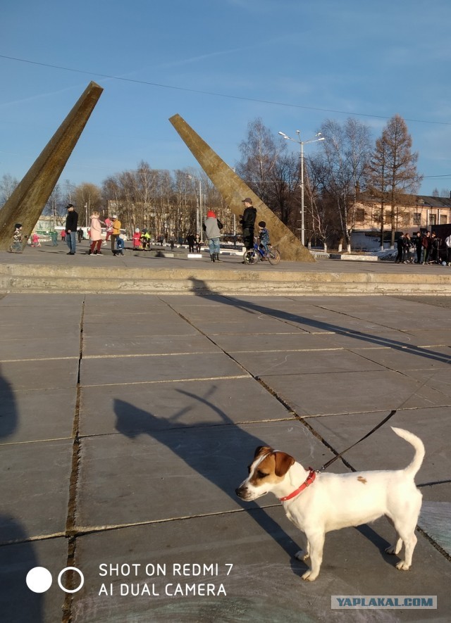 Новые монеты в 25 рублей