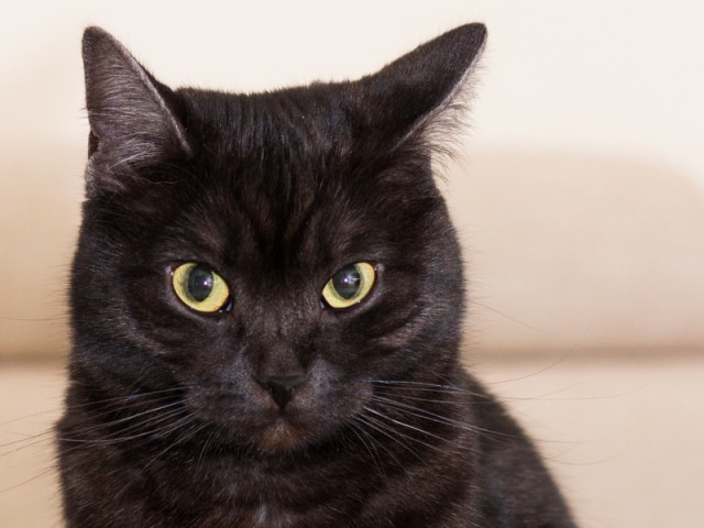 Почему хороших девочек не зовут замуж?