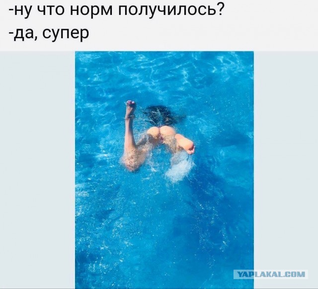 Юмор в картинках