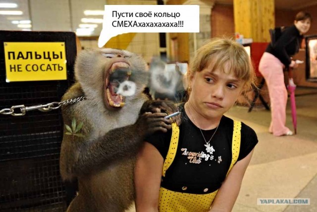 Фотожаба: Не совать!