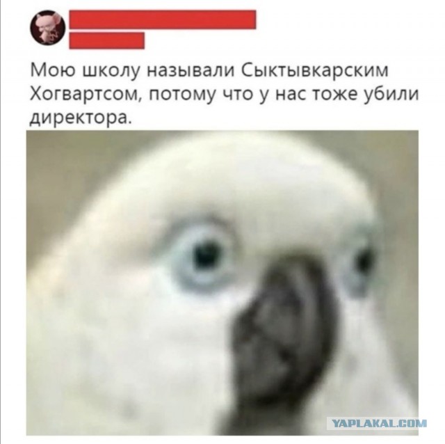 Бредзона 06.11.2020