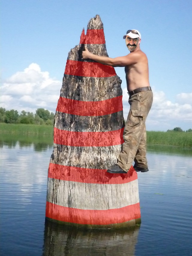 Фотожаба: На пеньке