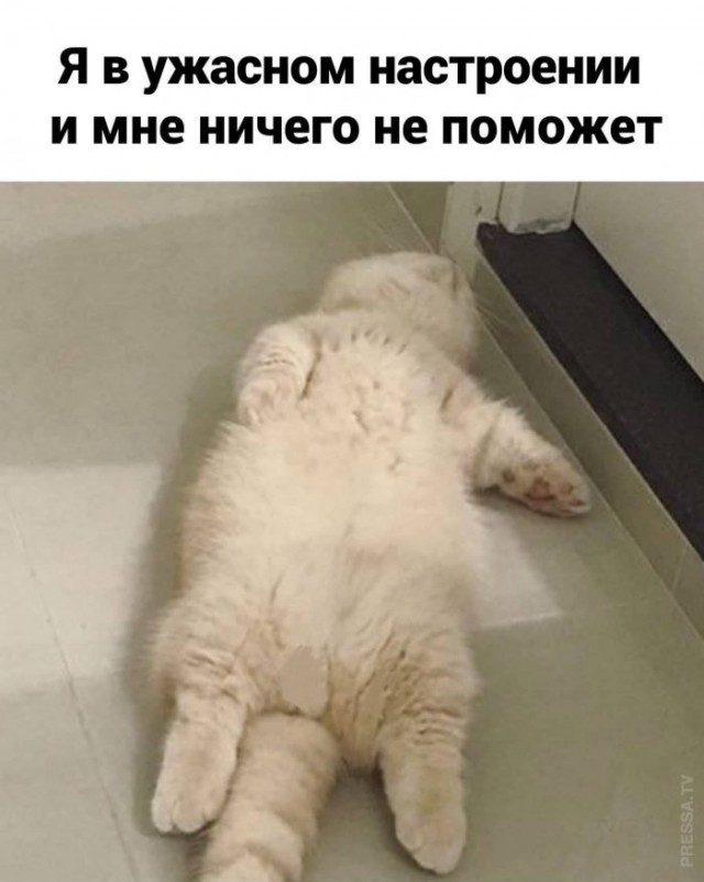 Картинки и мемы для настроения 018