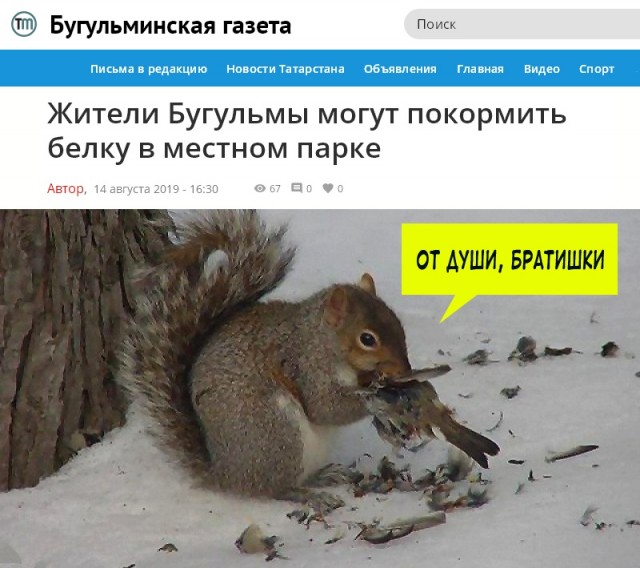 Весёлый полтишок 17.02