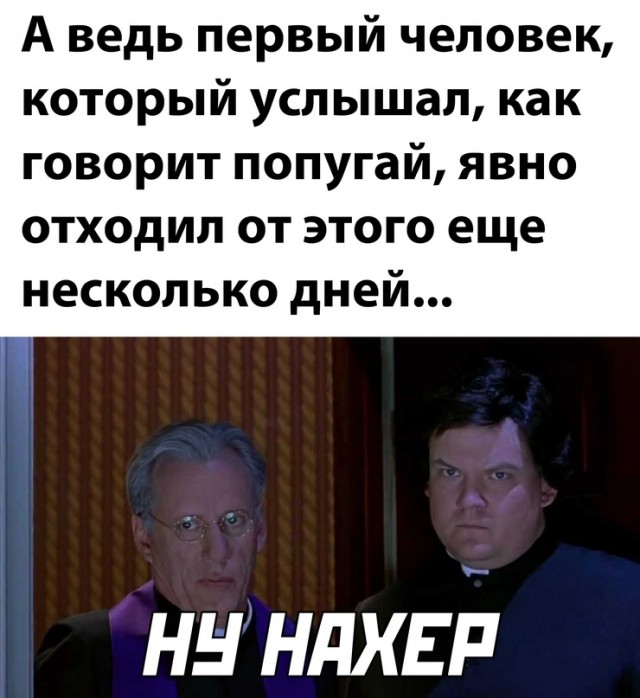 Весёлый полтишок 19.04