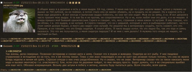 Пятница машет всеми конечностями!