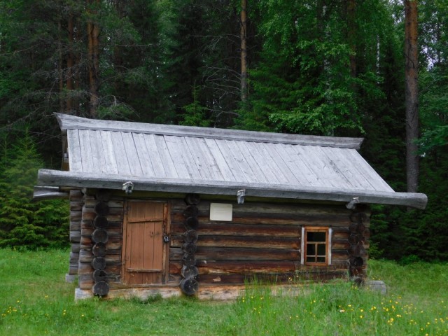 Дома на опушке леса