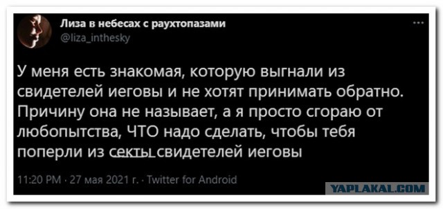 Забавные комментарии из социальных сетей (07.06.21)