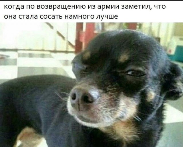 Пятница. И немного слегка пошлых картинок с надписями и без 16+ (30.07))