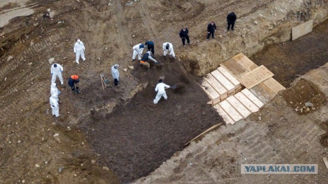 Ответ для всех, кого принуждают вакцинироваться