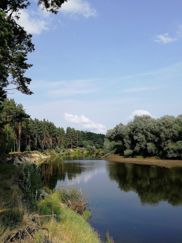 Сплав по реке Десна 01.08-08.08.2021