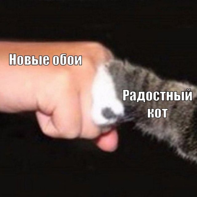 Картинки и мемы для настроения 003