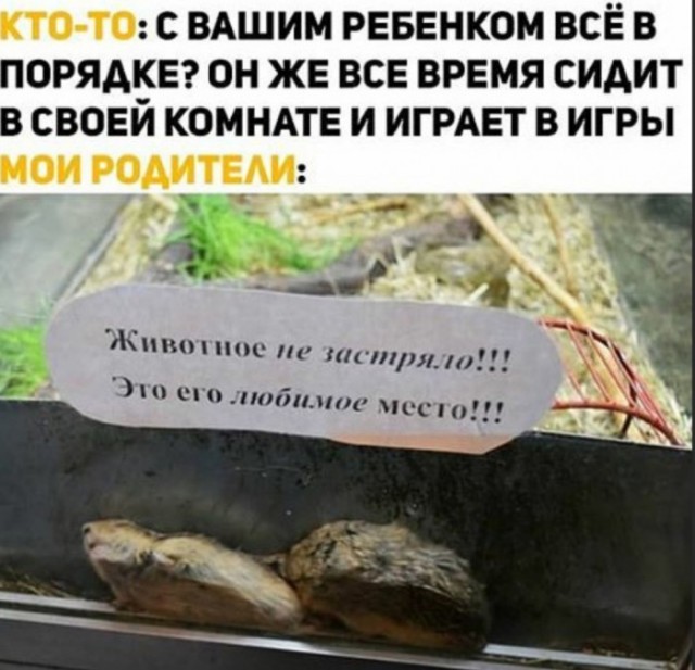 Картинки и мемы для настроения 14.08.2021