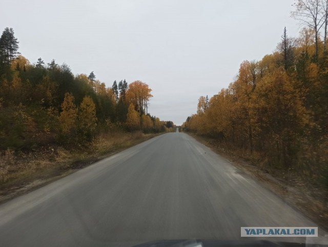 Вид из окна