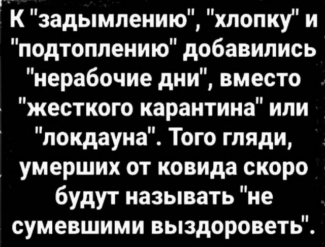 Картинки и мемы для настроения 17.11.2021