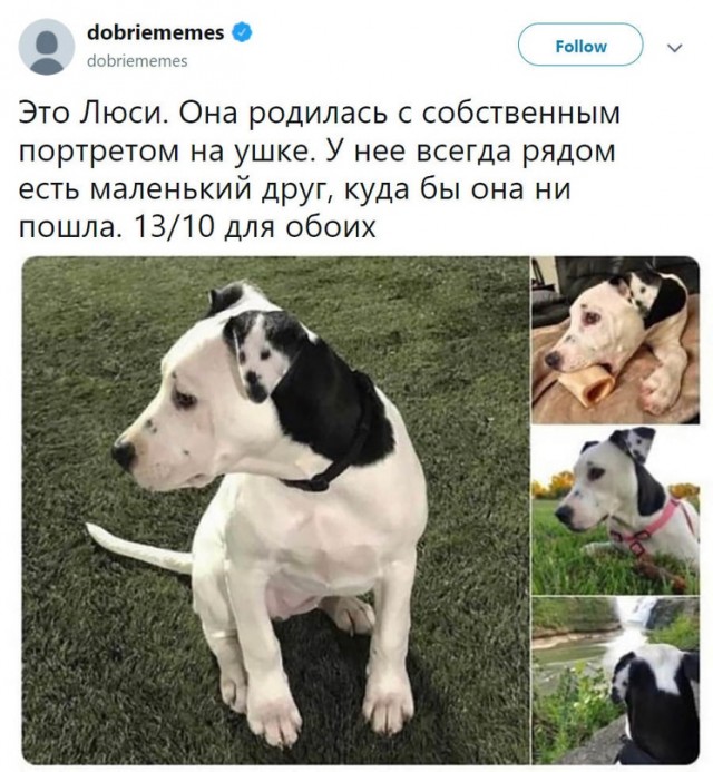 Картинки и мемы для настроения