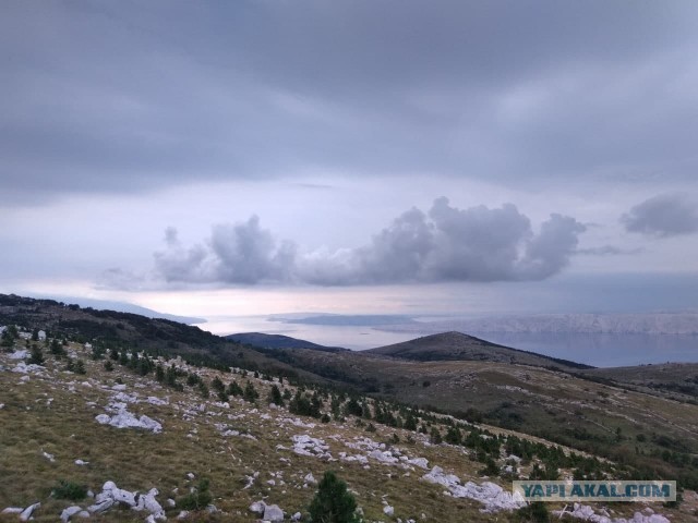 Покажи мне горы